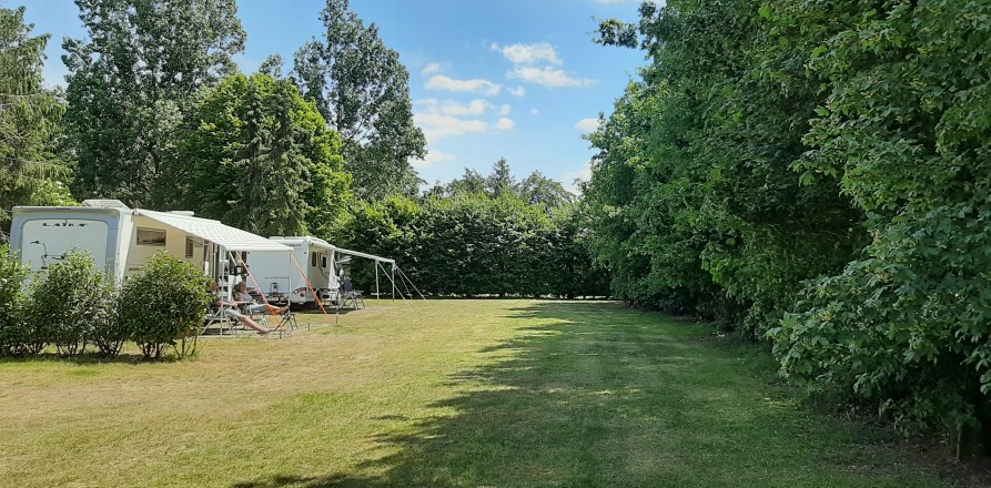 Wohnwagen stehen auf einem sonnigen Campingplatz mit gemähtem Rasen und hohen Bäumen am Rand.