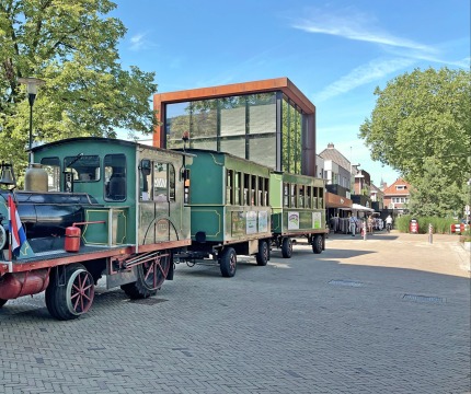 Kleurrijke toeristentrein in klassieke stoomlocomotiefstijl op een plein met moderne gebouwen en bomen.