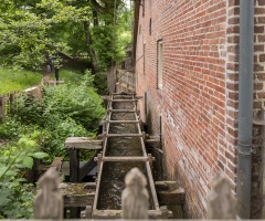 Excursie boerderijen en watermolens