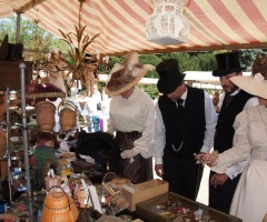 Grote Curiosa-, Antiek- en Brocantemarkt in hartje Delden!