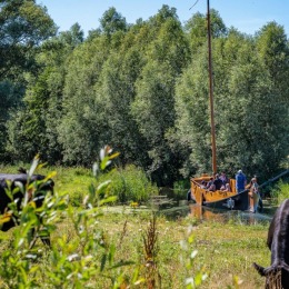 Koeien grazen in een groene wei terwijl een houten boot met mensen over een smalle rivier vaart.