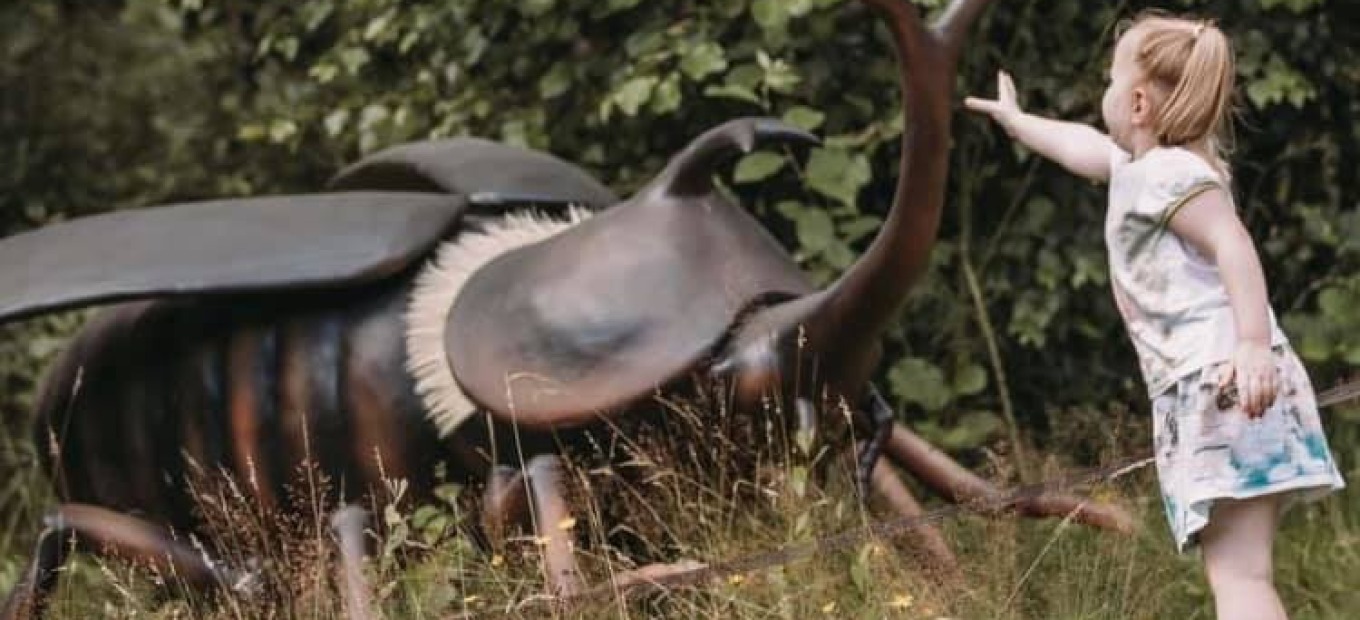 Grote Insecten