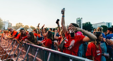 Bruisfestival