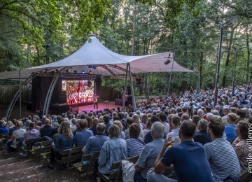 Outdoor theater in a forest with an audience watching a performer on stage under a large canopy tent.