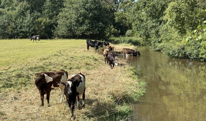 Wandeltips rondom Beuningen
