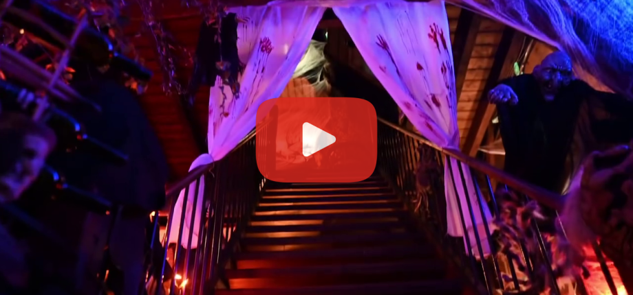 Recreatiekrant voorjaar 2025