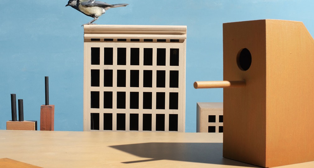 Een vogel zit op een modelgebouw, met houten vogelhuisjes en miniatuurgebouwen op de achtergrond.