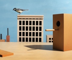 Koekoek, vogels in de kunst