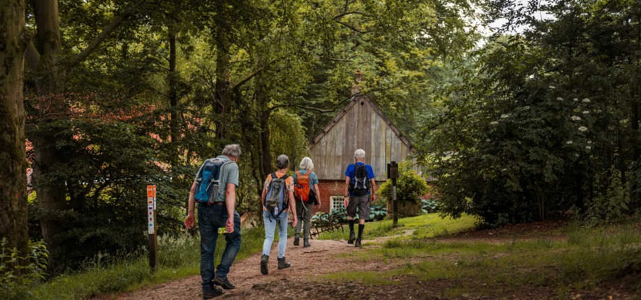 herfstwandeling bij Watermolen Bels