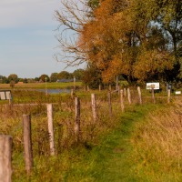 Landelijk pad met houten hek, gras en bomen met herfstbladeren onder een blauwe hemel in Nederland.