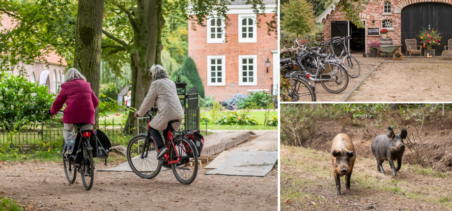 Fietsen in Tubbergen