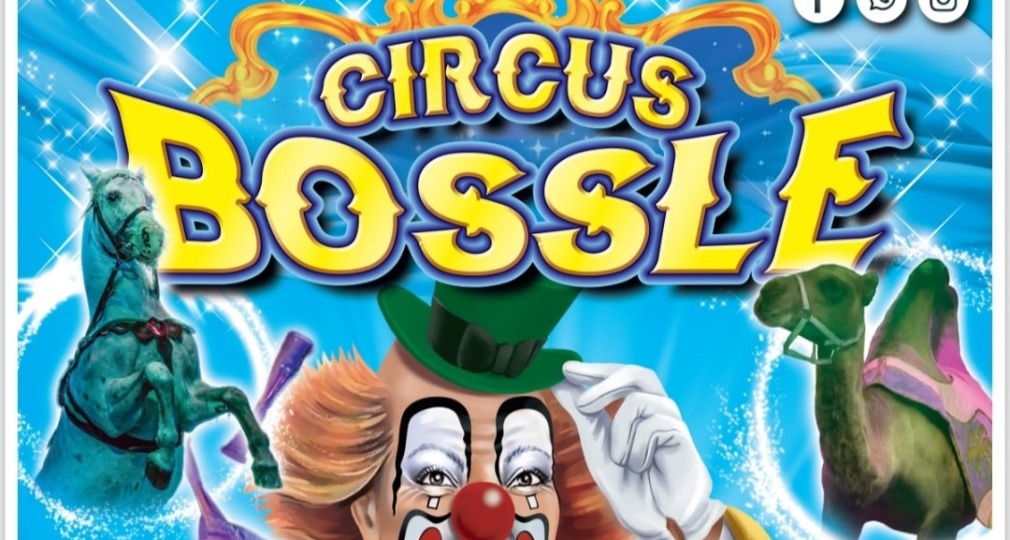 Poster van Circus Bossle met een clown, dieren, Mario-figuur en showinformatie voor optredens in Borne.