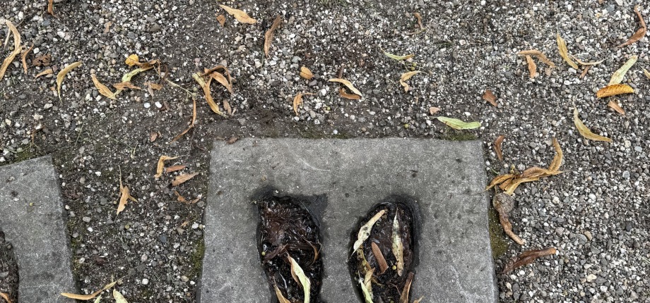 Voetstappen in cement