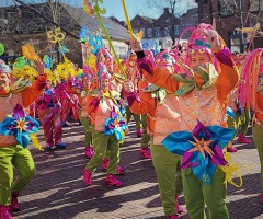 Carnavalsoptocht Denekamp