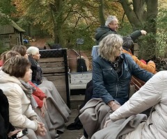 Rondrit met paard en wagen
