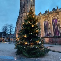 Verlichte kerstboom voor een historische kerk met hoge toren op een plein bij avondschemering.