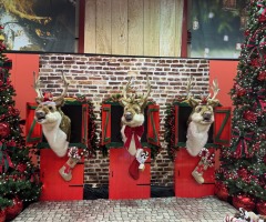 Christmasshow Tuincentrum Wolters