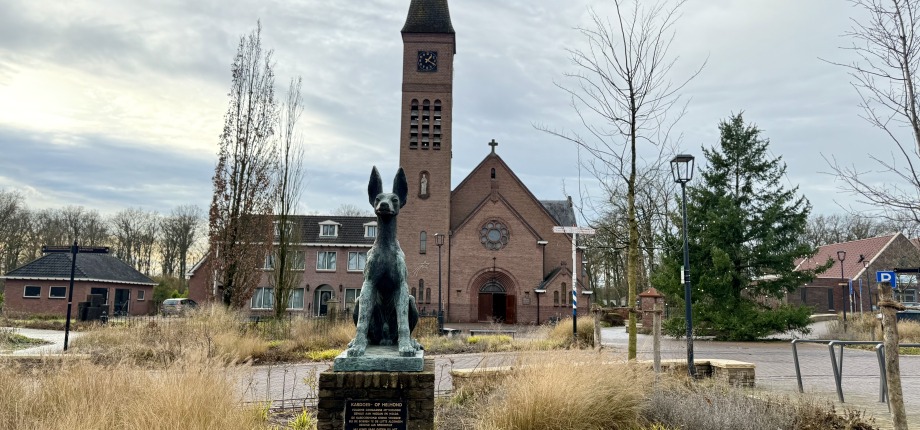 Hellehond op de nieuwe plek