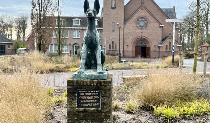 Nieuw plekje voor Hellehond