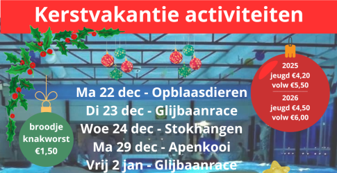 Poster met Kerstvakantie activiteiten van het zwembad, inclusief tijden, prijzen en contactinfo.