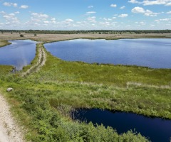Excursie door het hoogveen van de Engbertsdijksvenen
