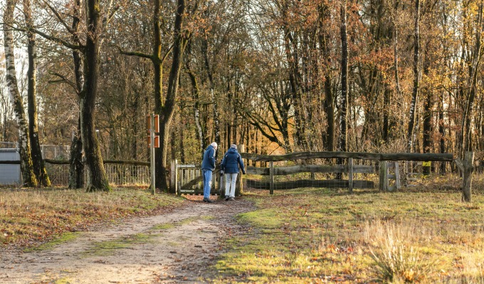 Herfstwandeling over het Springendal