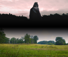 Wandeling 'Préhistorie, van steen- tot ijzertijd'