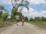 Wandelen
