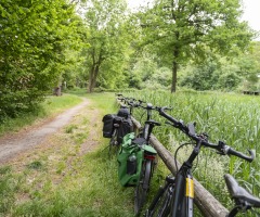 Fietstocht o.l.v. een gids (3 uur)