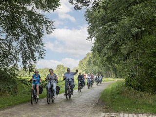 Fietstocht met gids (3 uur)