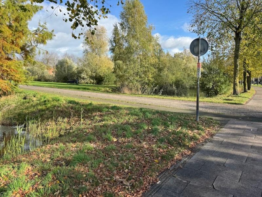Losmaakoefeningen