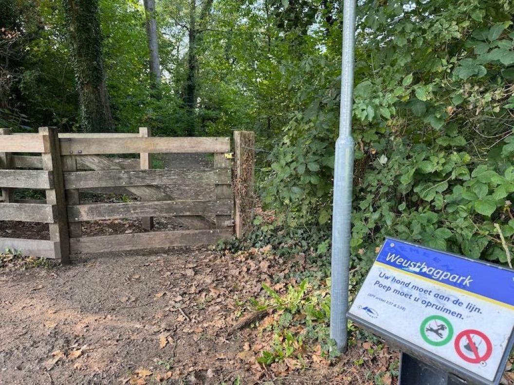 Aandacht voor de natuur