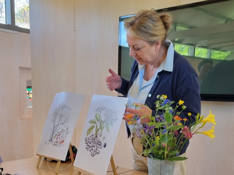 Workshop Botanisch Tekenen