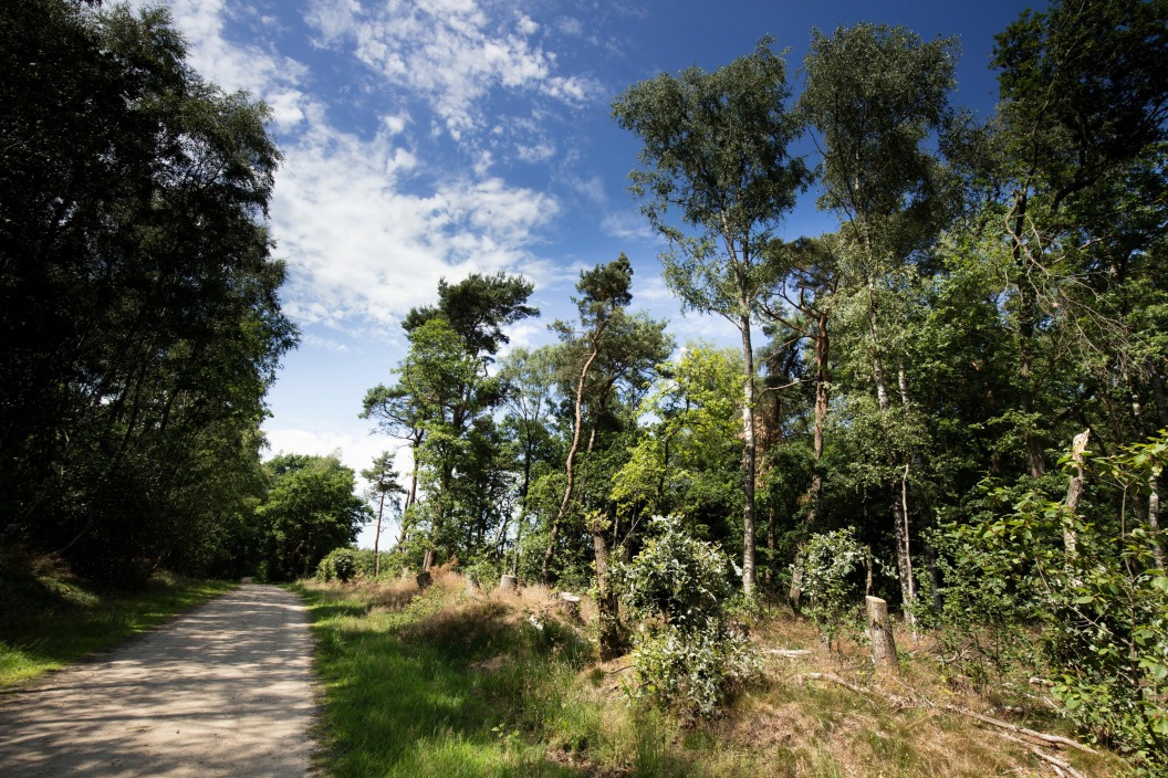 Uitbreiding heide