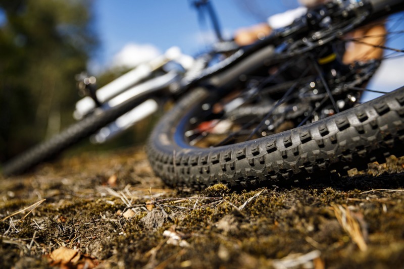 Dutch Masters of MTB