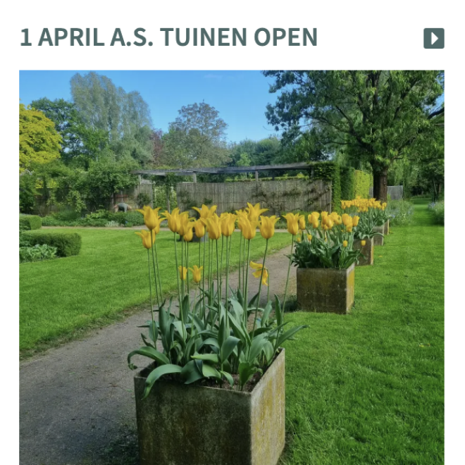 Gele tulpen in bloembakken staan langs een tuinpad met gras en bomen, tuinen openen op 1 april.