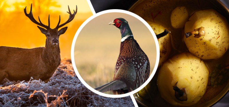 Sfeervolle wildavonden landgoed Singraven - Ontdek het landgoed Singraven in andere sferen!