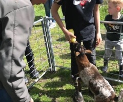 Snuffelen aan de lente