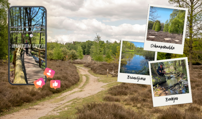 Deze route móet je een keer gelopen hebben