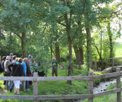 Dauwtrappen in het Dal van de Mosbeek