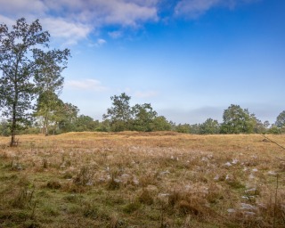 Dal van de Mosbeek.