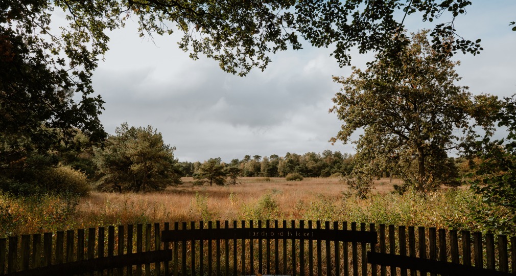 Landgoed Twickel bij Borne