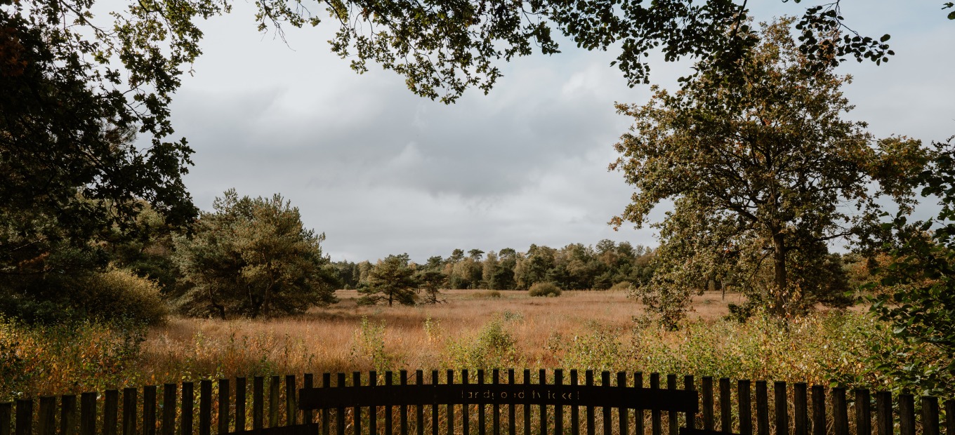 Uitzichtspunt Landgoed Twickel