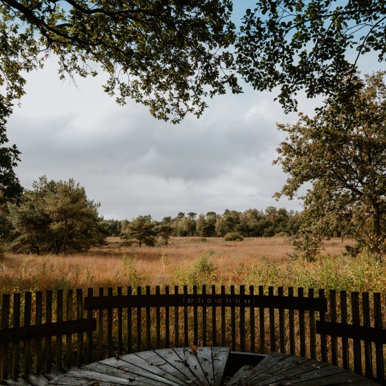 Landgoed Twickel bij Borne