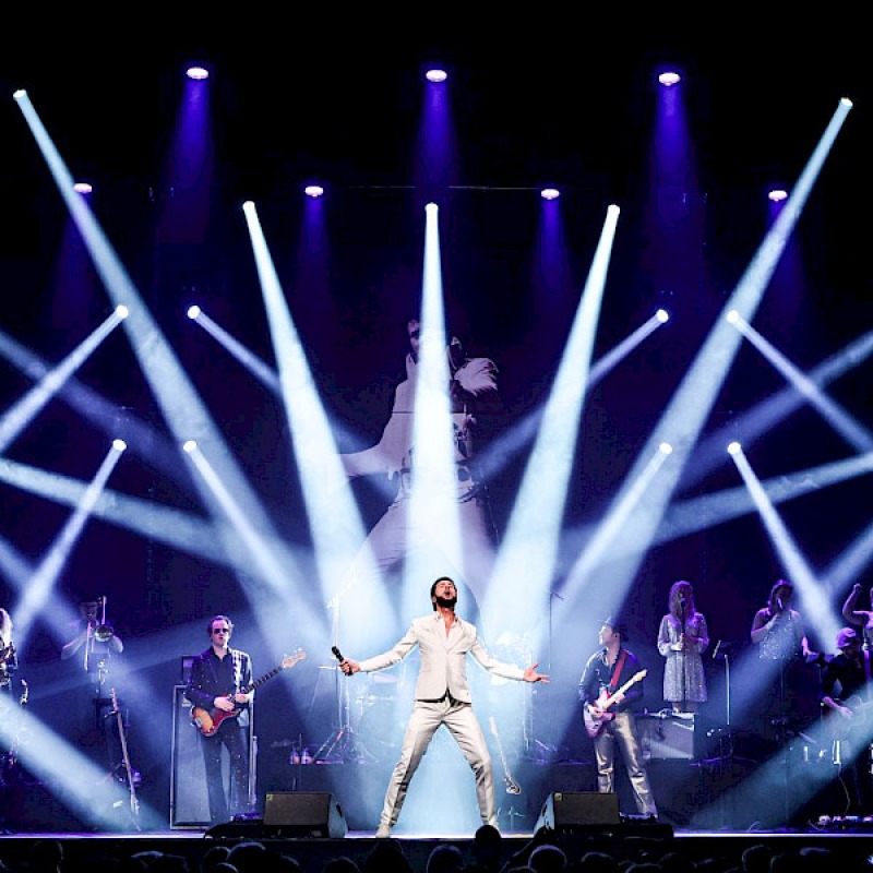 Bouke - Bouke rocks Elvis