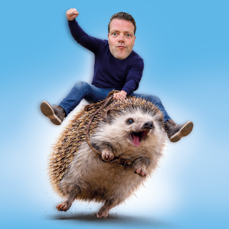 Martijn Koning - Overprikkeld