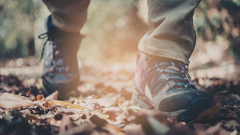 Walk of Life in het Buurserzand - Hoofd uit, hart aan
