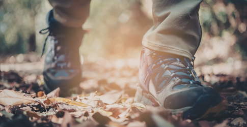 Walk of Life in het Buurserzand