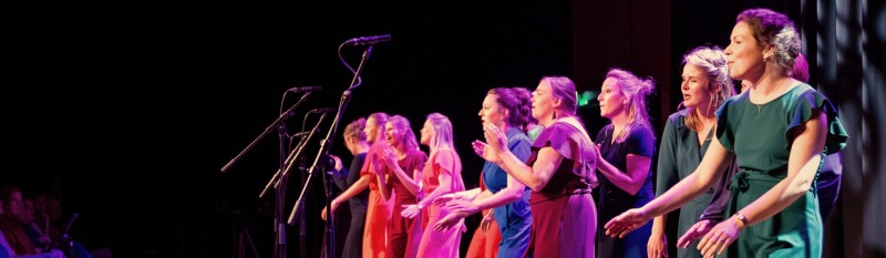 The Soundtrack of Us - Vocal Group BlueBird Voices olv Bouke Sleurink