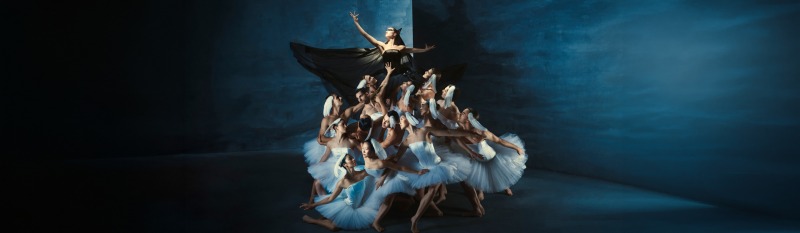 Introdans - Swan Lake
